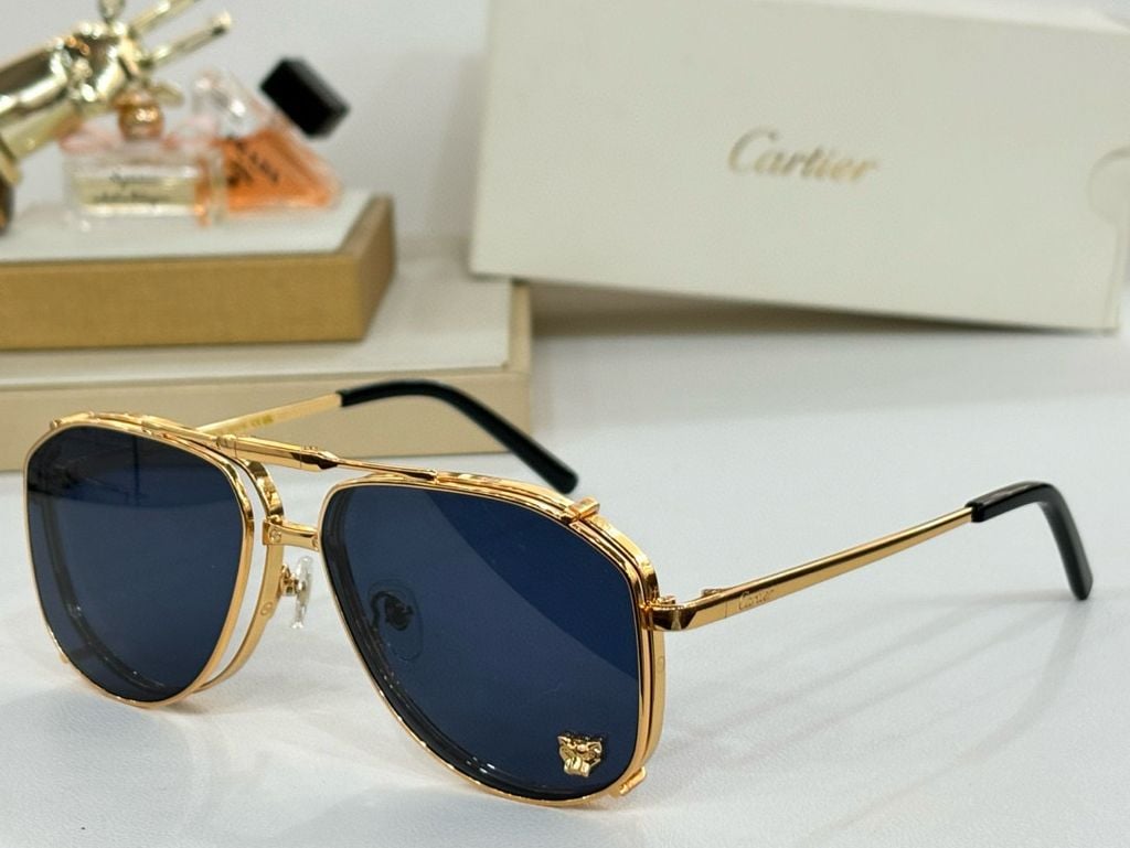 Cartier CT0637S Sunglasses