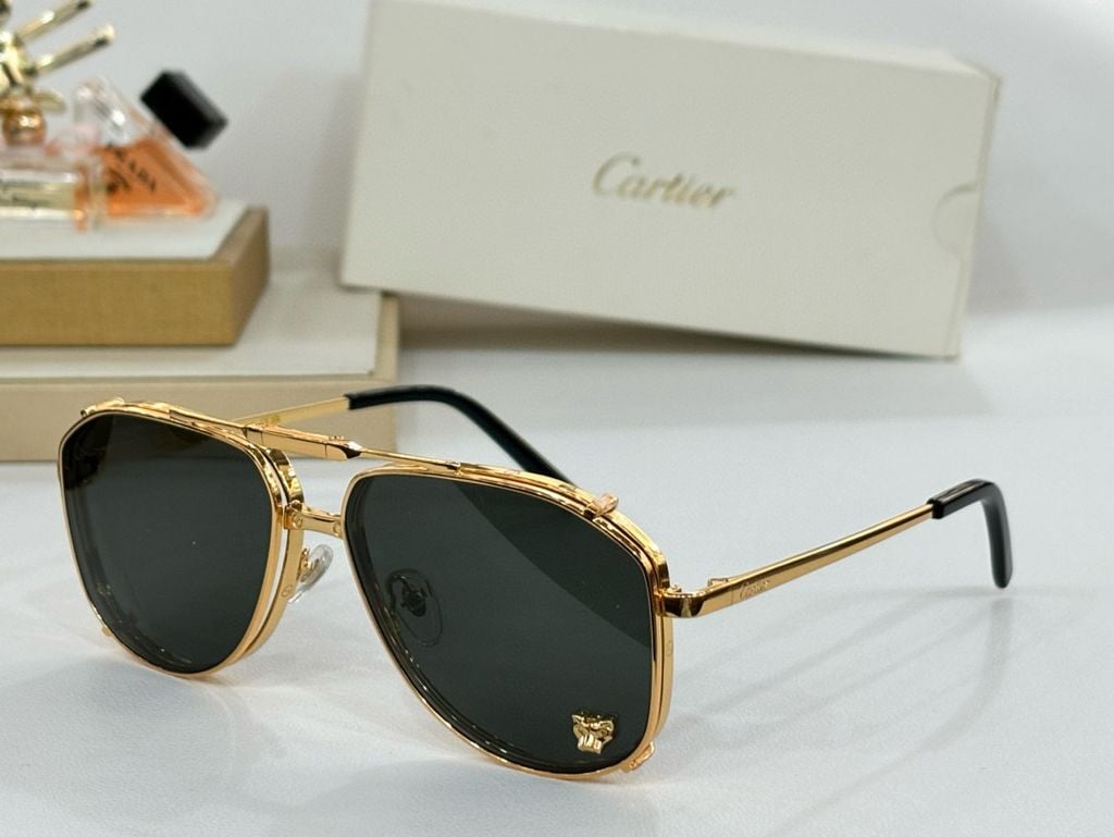 Cartier CT0637S Sunglasses